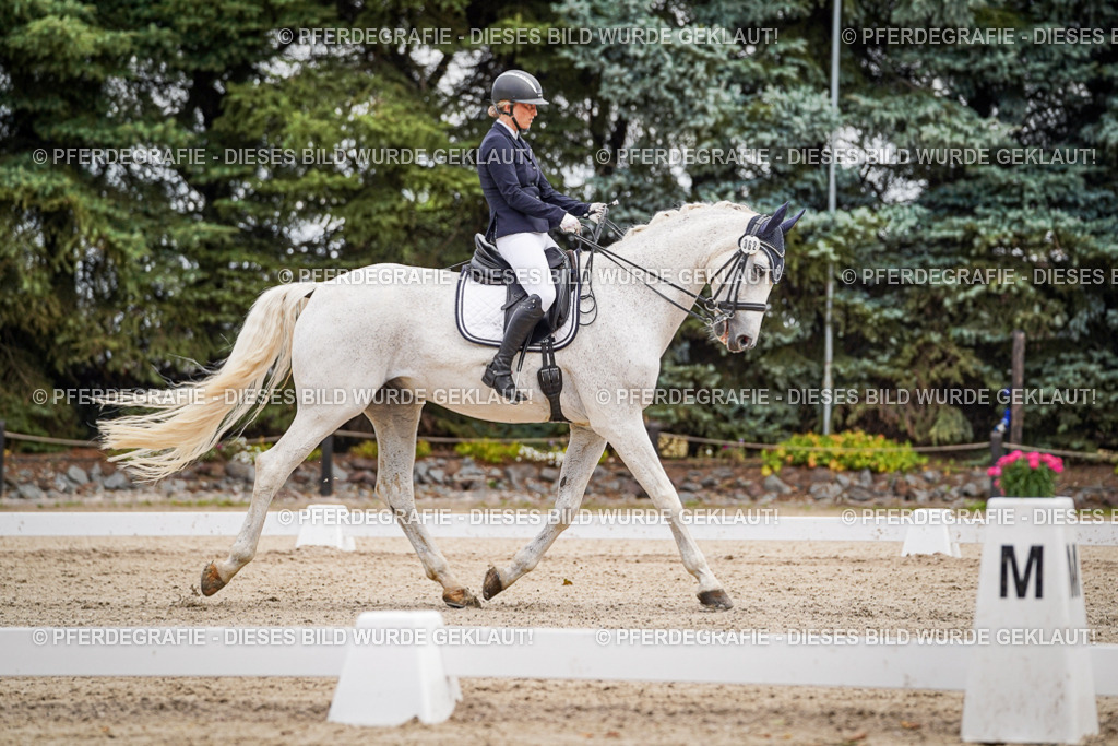 DSC02826 | Pferdegrafie