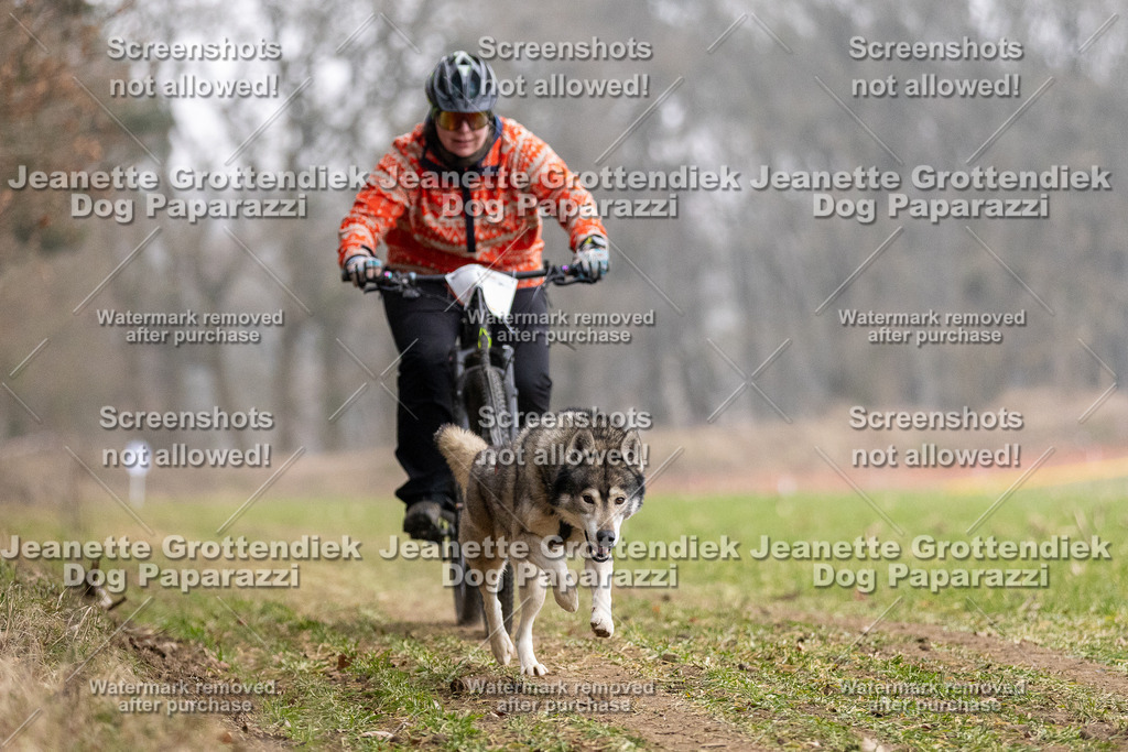 Dog Paparazzi - Plate 2026-15 | Dog Paparazzi Jeanette Grottendiek Fotografie & Videografie - Realisiert mit Pictrs.com