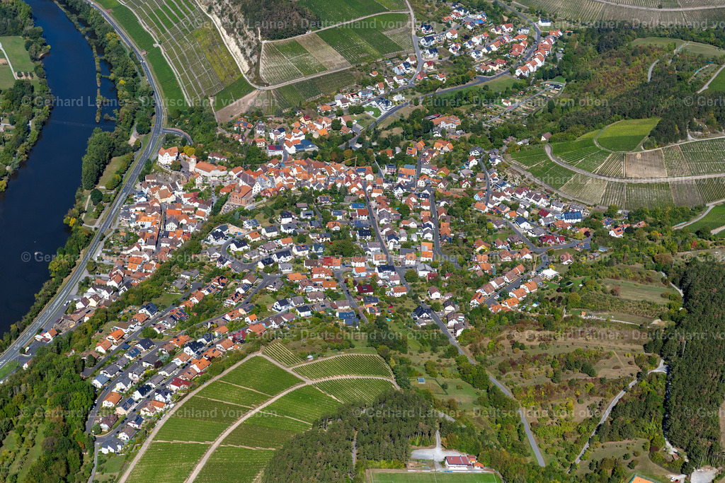 3905221 | Homburg a. Main