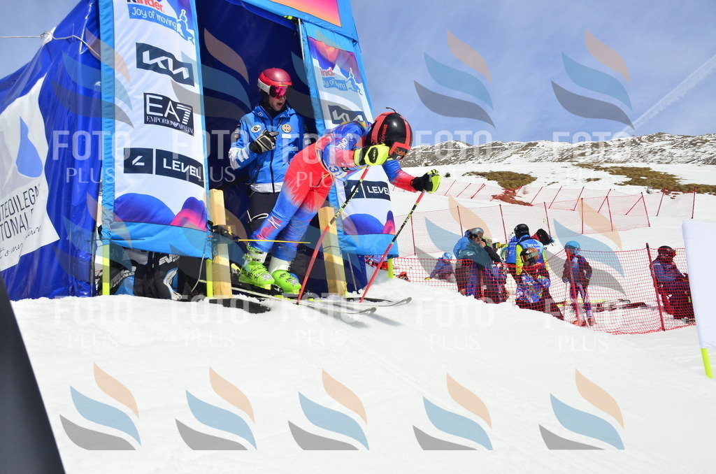 _ELE1647 | holidayphoto