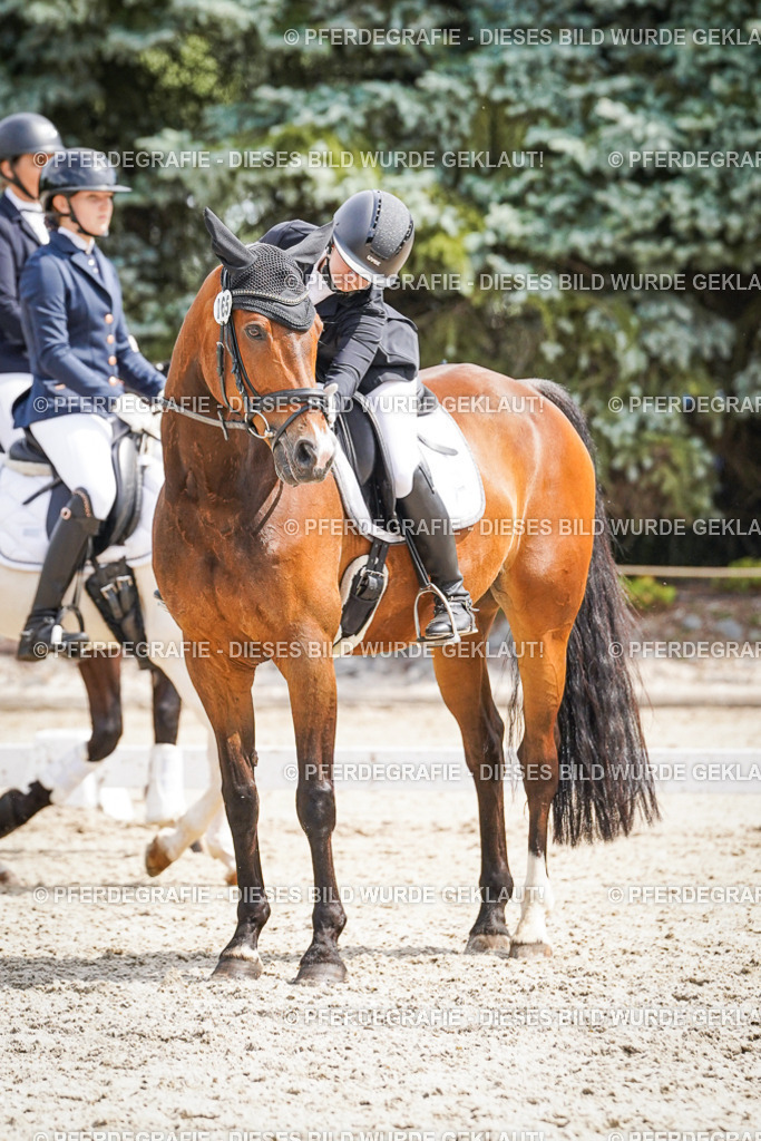 DSC02181 | Pferdegrafie