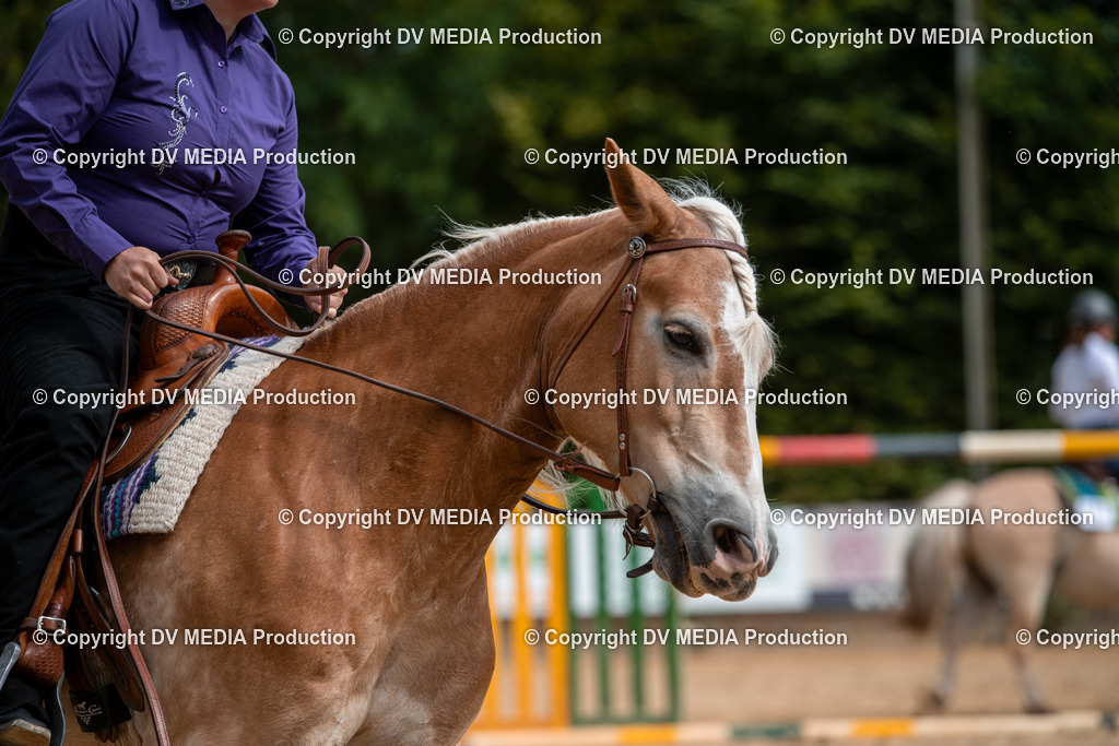 ZS2_7717 | dv-media-shop - Realisiert mit Pictrs.com