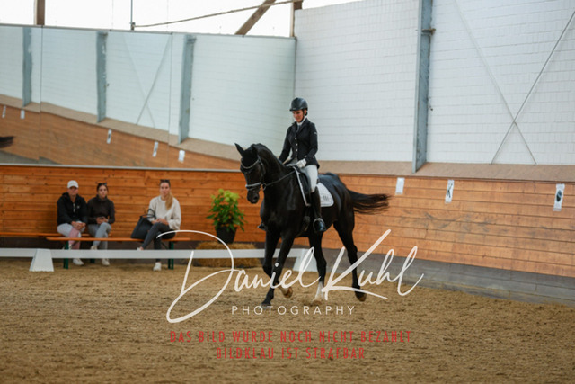 _62_6654 | Turniersportfotografie; Pferdefotografie; Dressurfotografie