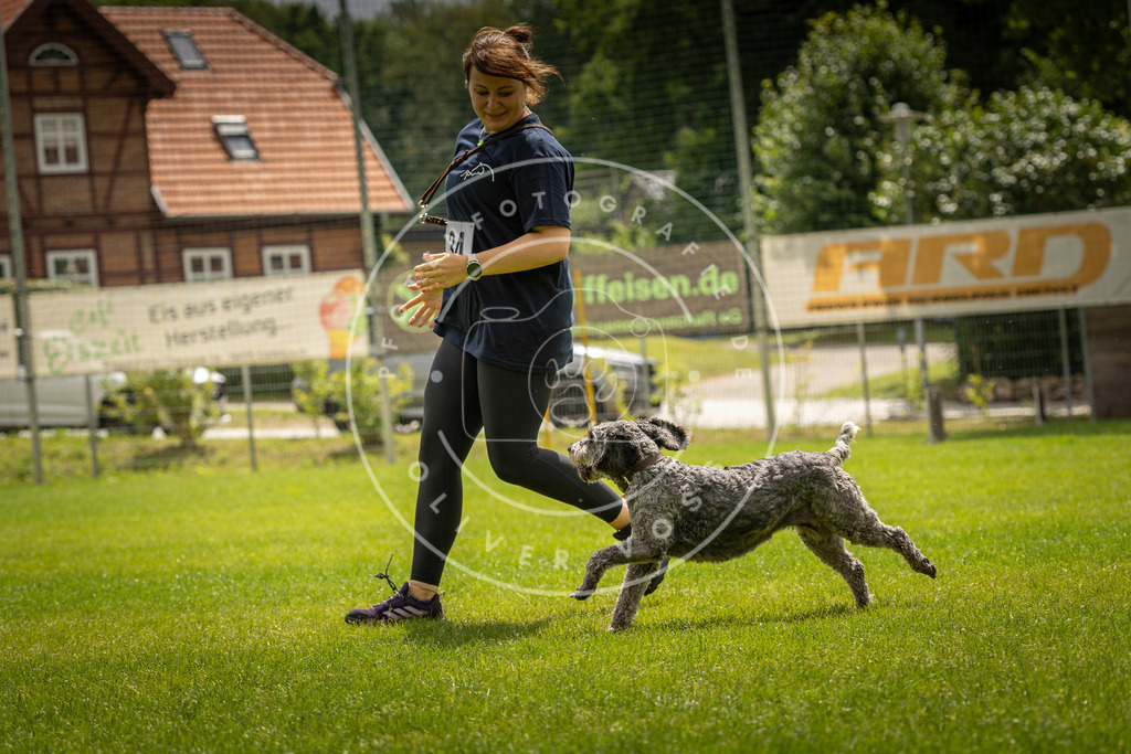 Pfotenfotografie_DV3A2543 | Hundefotografie, Tierfotograf, Pfotenfotografie, Fotoshooting Hund, Hunde Portrait, Hundesport, Hundeportraits, Heideshooting, Hunde, Sportfotograf, Hundefotograf, Turnierhundsport, THS,  - Realisiert mit Pictrs.com