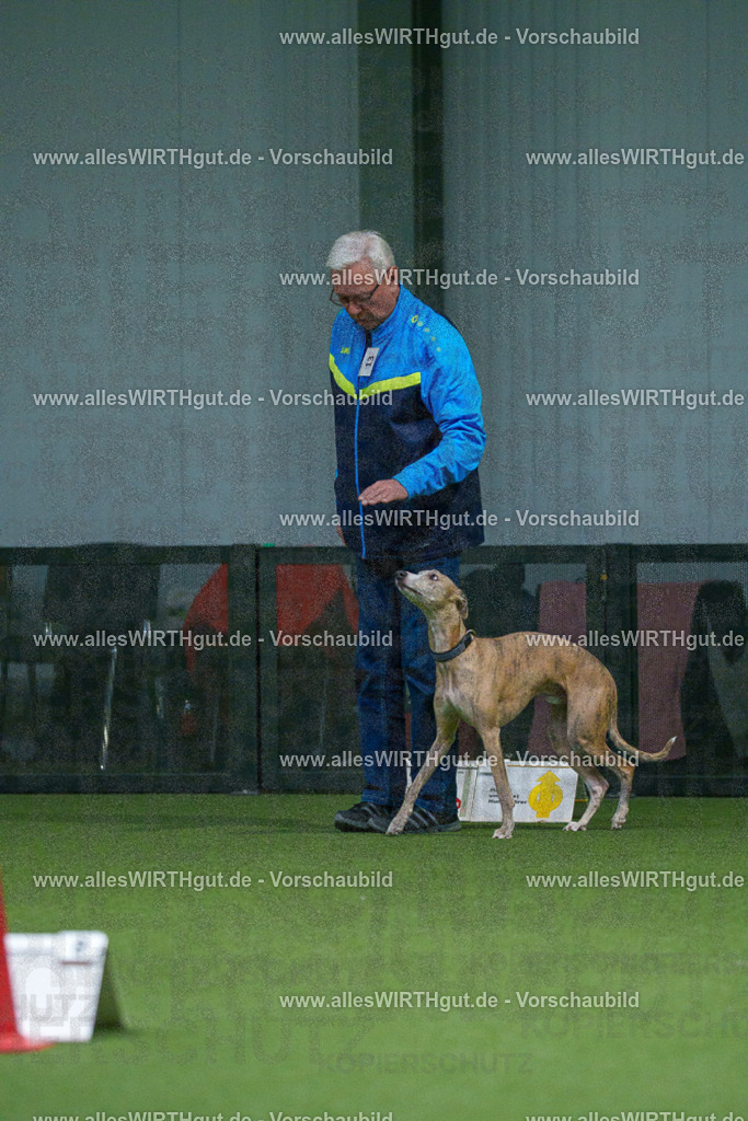 7R500338 | Professionelle Tierfotografie in Mönchengladbach von Daniel Wirth (allesWIRTHgut). Liebevolle & natürliche Bilder von Hunden & Katzen für unvergessliche Erinnerungen.