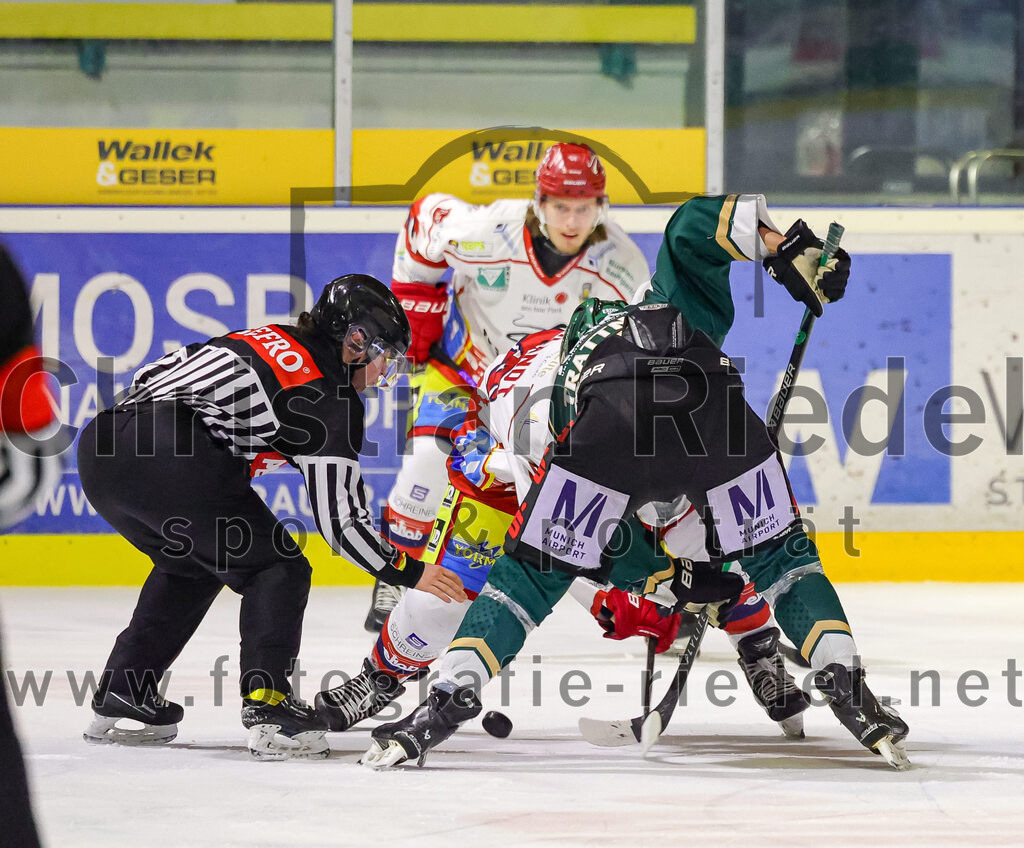 2026-02-20_091_TSV_Erding_gegen_Deggendorfer_SC | Erding, Deutschland, 20.02.2026:Eishockey, Oberliga Süd 2025 / 2026, 49. Spieltag, TSV Erding gegen Deggendorfer SC, Endergebnis: 4:1Louis Trattner (Erding Gladiators, #7)Foto: Christian Riedel / fotografie-riedel.net