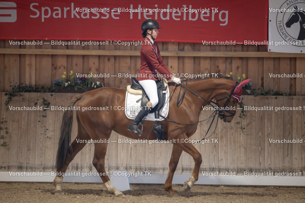 _D5A2066 | Emotionale Pferde- & People-Fotografie rund um Heidelberg, Leimen & Umgebung. Natürliche Fotos von Pferd, Mensch & Familie. Jetzt Termin sichern!