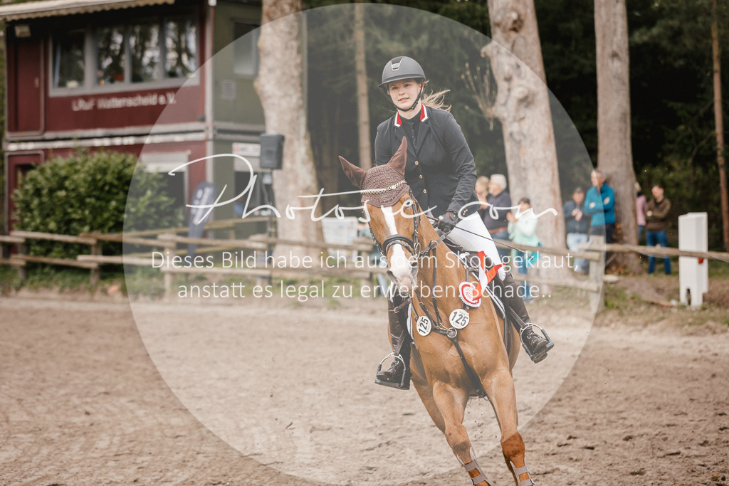 3I6A4443 | Stimmungsvolle Portraits und Reitsportfotografie im Ruhrgebiet und im Münsterland.

Pferdefotografie, Hundefotografie, Tierfotografie, Reportagen, Portraits von Tier und Mensch, Turnierfotografie in Bochum, Recklinghausen, Marl, Haltern am See, Dülmen.. - Realisiert mit Pictrs.com