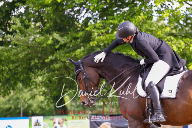 DKP41661 | Deine Turnierfotos vom Reitturnier online kaufen: Dressur, Springen & Siegerehrung. Professionelle Pferdefotografie aus dem Rheinland – als Download & Print.Alternative: Turnierfotograf für den Pferdesport: Finde deine Fotos von Dressur- und Springturnier