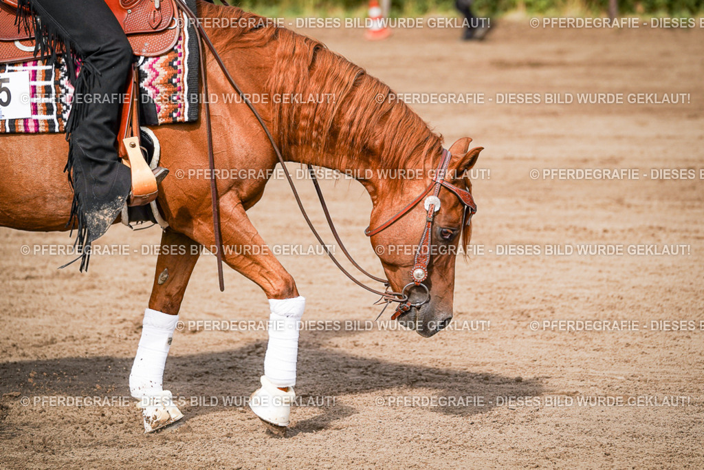 DSC09504 | Pferdegrafie