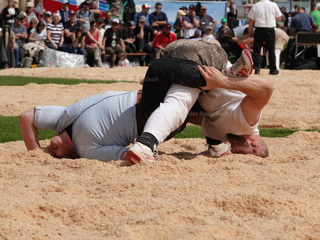 DSC06401 | Schwingen - Realisiert mit Pictrs.com