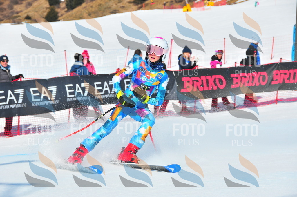 DSC_4285 | holidayphoto