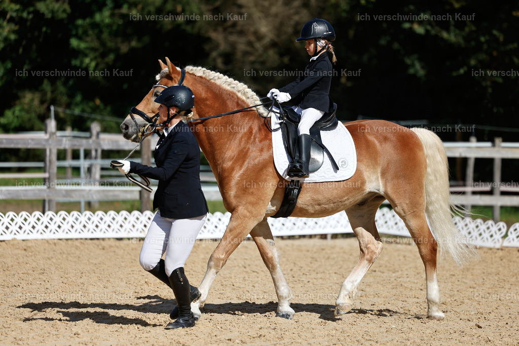 01--Ponyführzügel -StoibPH-6819 | working equitationturnier fotograf videograf stoibphotography marixx film working equitation deutschland reitsport turnierfotografie eventfotografie equestrian events