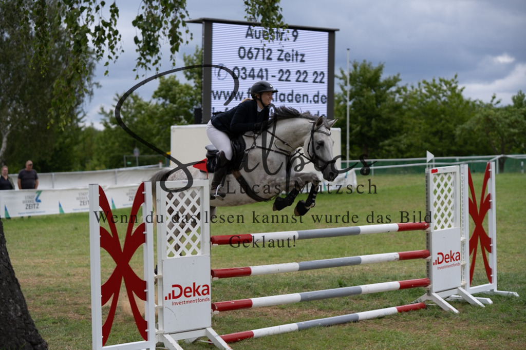 A7V06036 | Pferdefotograf