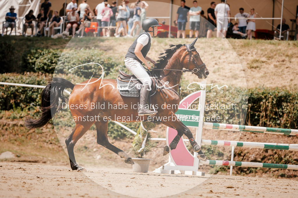 3I6A7975 | Stimmungsvolle Portraits und Reitsportfotografie im Ruhrgebiet und im Münsterland.

Pferdefotografie, Hundefotografie, Tierfotografie, Reportagen, Portraits von Tier und Mensch, Turnierfotografie in Bochum, Recklinghausen, Marl, Haltern am See, Dülmen.. - Realisiert mit Pictrs.com