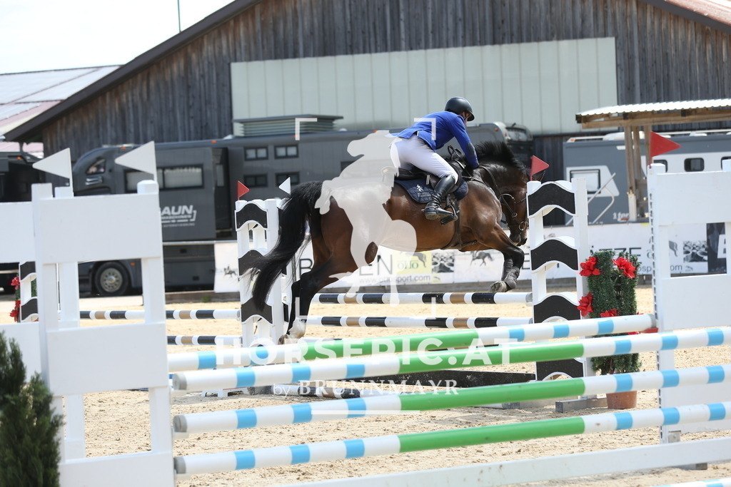 DL2Q5353 | Willkommen bei Brunnmayr - Design & Fotografie – Ihrem Spezialisten für Reitturniere und Pferdeveranstaltungen in Oberösterreich, Salzburg und Bayern! Seit über 17 Jahren sind wir leidenschaftlich dabei.