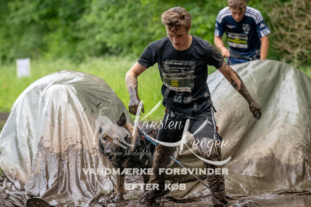 1544_ZZ90058-Bearbeitet | kk-dogfotos