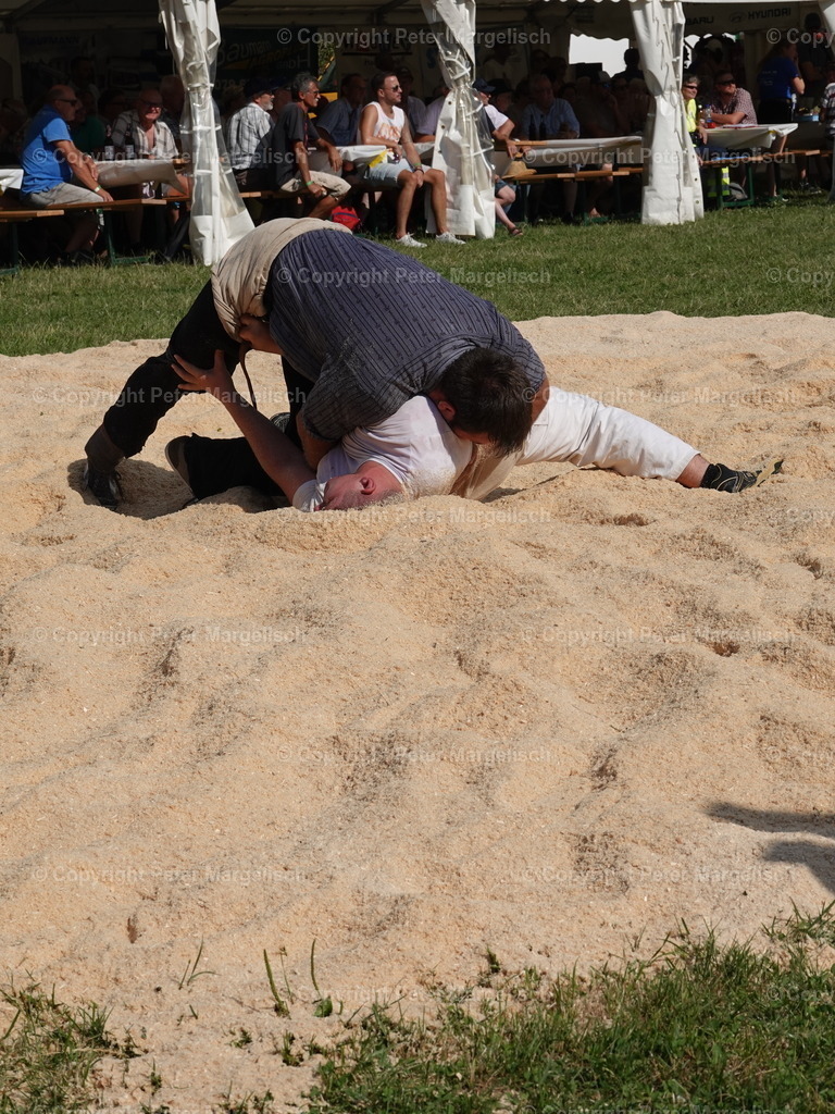 DSC05180 | Schwingen - Realisiert mit Pictrs.com