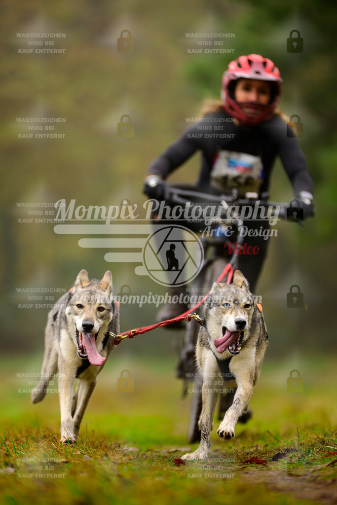 MompixPhotography_Bischwiller2025_Bike-122 | mompixphotography