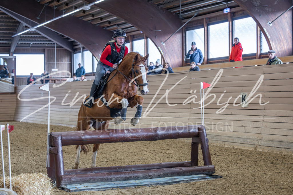 20260221-_3LI9270 | Tierfotografie Pferde, Hunde, Katzen, Haustiere.
Turnierfotografie Reitturniere, Reiten, Springreiten, Dressur in Hanau, dem Main-Kinzig-Kreis und dem Rhein-Main- Gebiet um Frankfurt