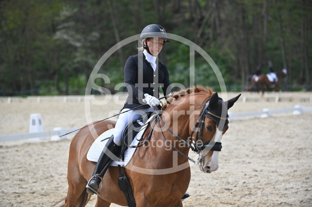 DSC_4584 | sattelsport - Realisiert mit Pictrs.com