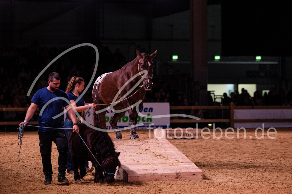 846A8312 | fotosleben - Realisiert mit Pictrs.com