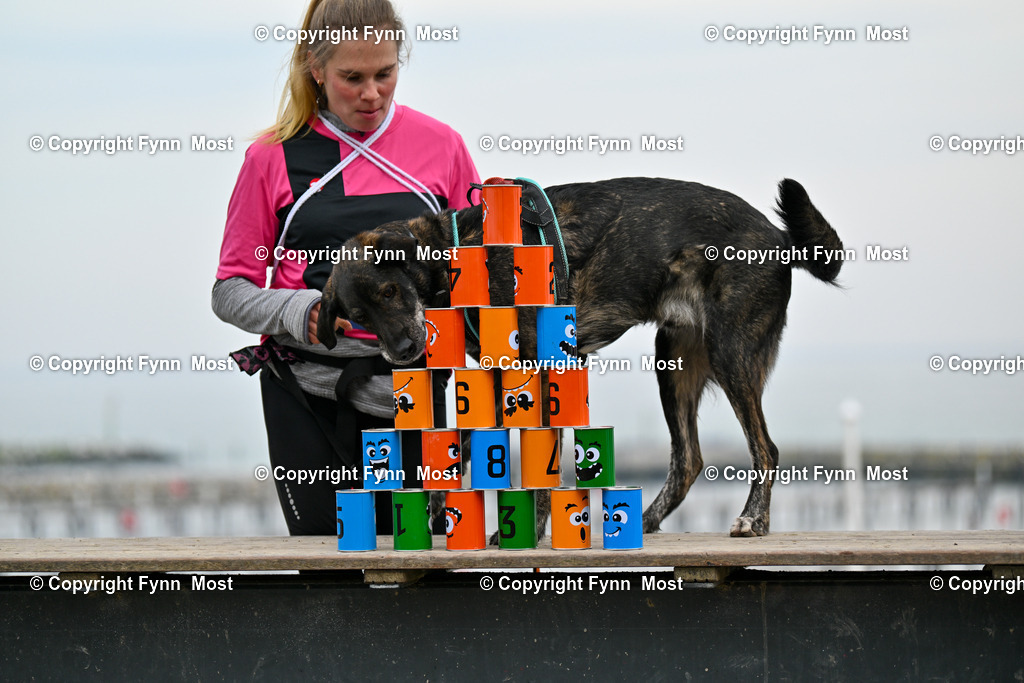 DSC_2569 | Hallo und herzlich Willkommen auf meiner Shop-Seite Fynn Most.

Ich wünsche Dir viel Spaß beim stöbern durch die Bilder, wenn Du Fragen hast oder Bilder vermisst, kannst du mir gerne eine Nachricht schreiben. - Realisiert mit Pictrs.com