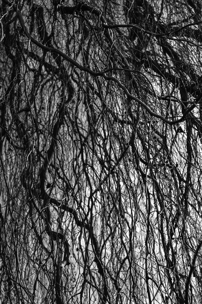 2025_03_23_HH-BLANKENSE+ELBE_MCP6897 sw | Hochwertig gedruckte Fotografien für die Wand, als Kalender und zum Verschenken. Hamburg & Norddeutschland und überall wo ich mit der Kamera unterwegs war.