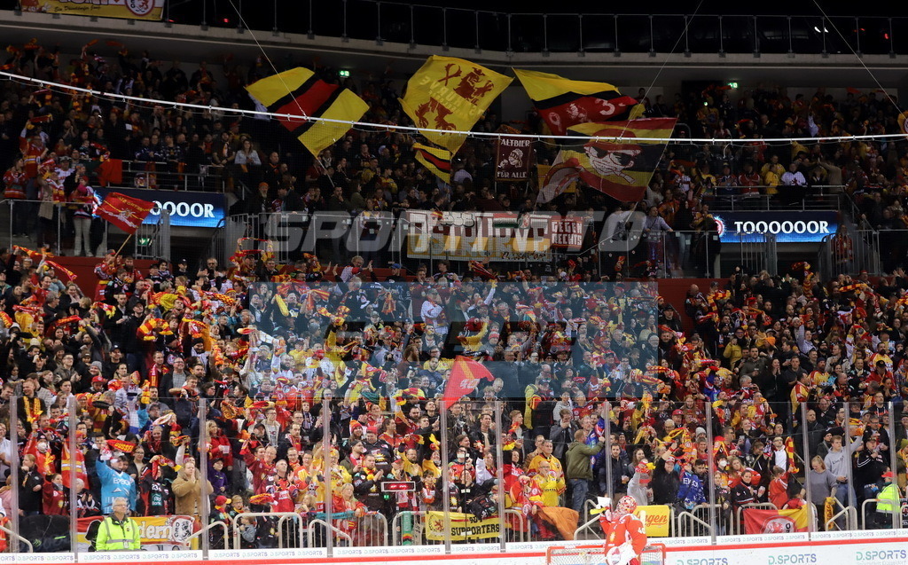 DEG-Fans | DEG-Fans - Realisiert mit Pictrs.com