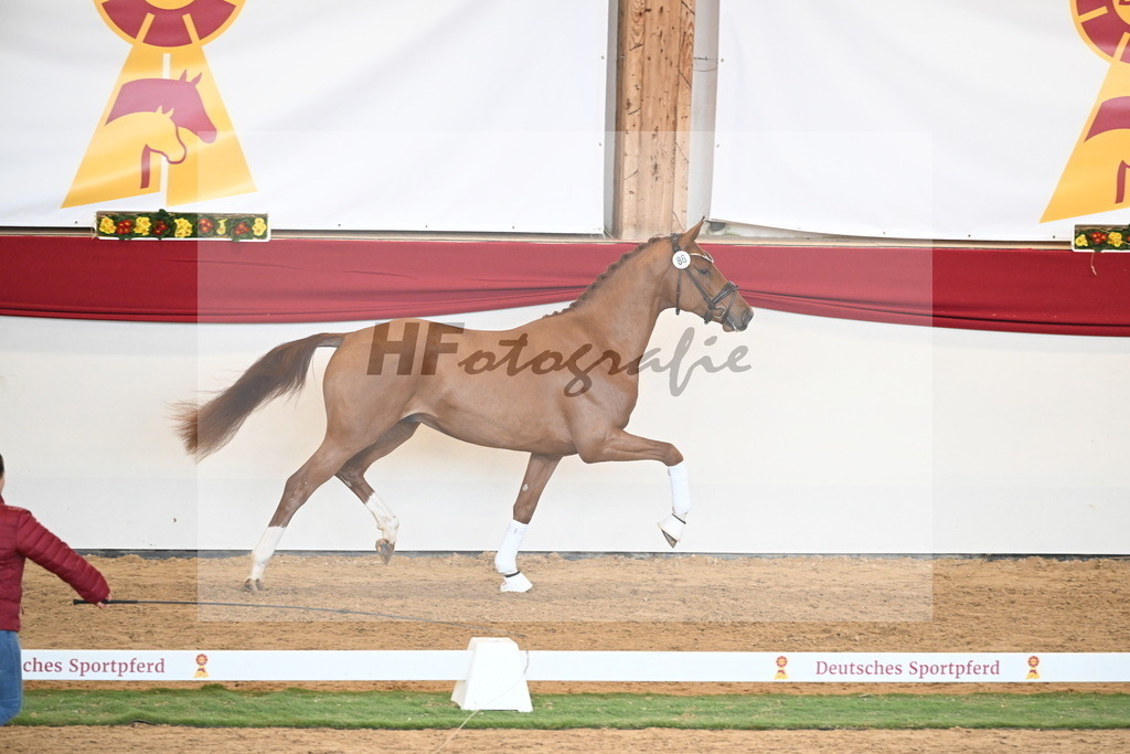 Kat.-Nr. 86 v. Vitalis_Bachinger_2250874 | hf-fotografie - Realisiert mit Pictrs.com