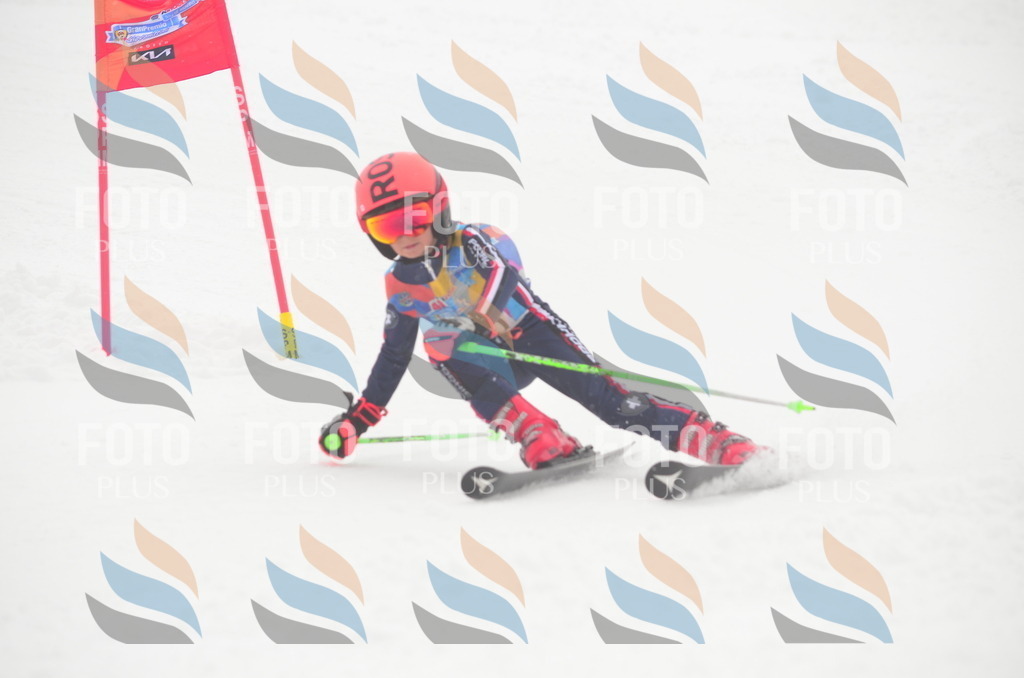 C1466 | holidayphoto