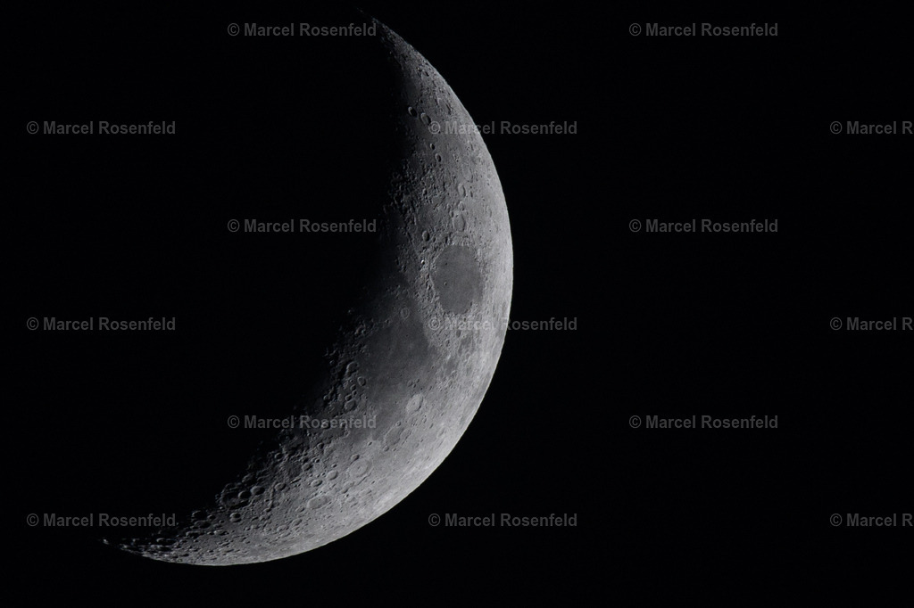 _DSC0083 | foto-rosenfeld