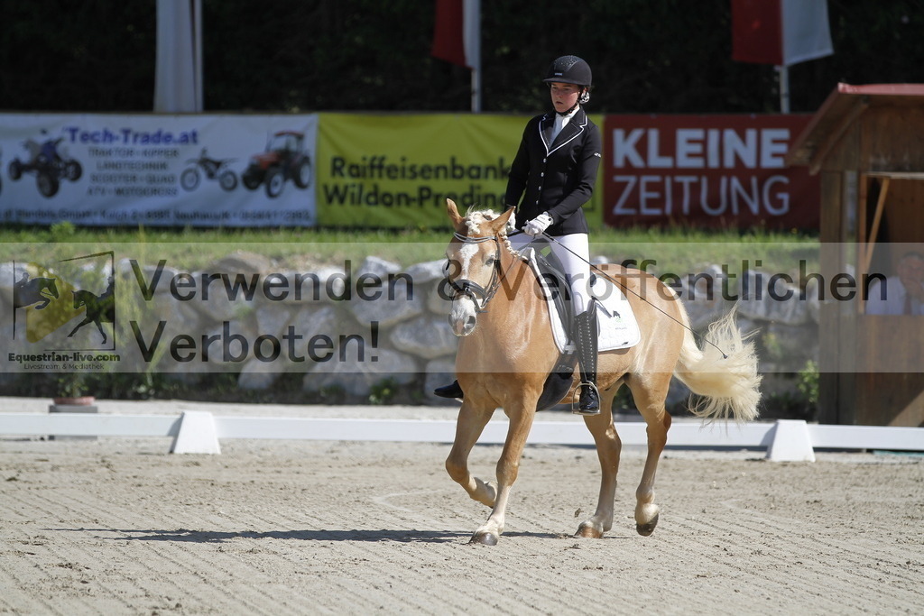 _MG_6514 | equestrian-live-com