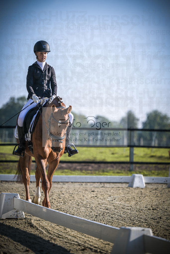 DOS_0769 | Entdecke hochwertige Reitturnierfotos von Foto Oger. Professionell, emotional und authentisch – jetzt Lieblingsmomente im Shop bestellen.Deutschlandweite Turnierfotografie. - Realisiert mit Pictrs.com