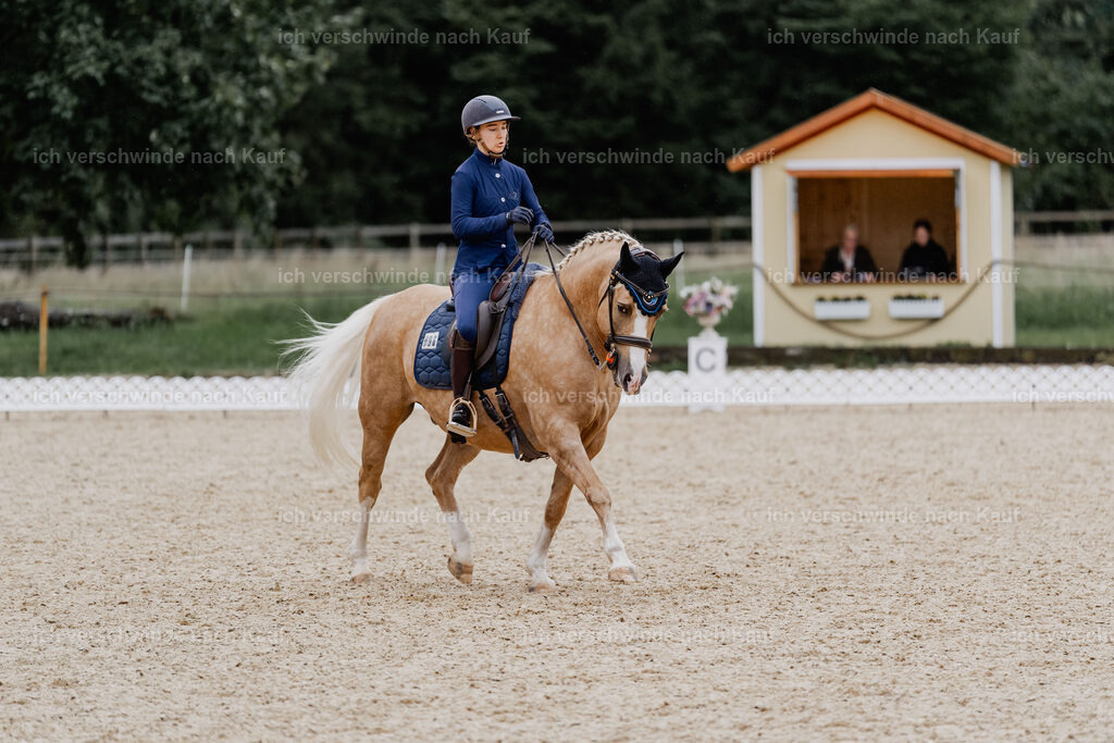 Nici11_FHC2025-8253 | working equitationturnier fotograf videograf stoibphotography marixx film working equitation deutschland reitsport turnierfotografie eventfotografie equestrian events