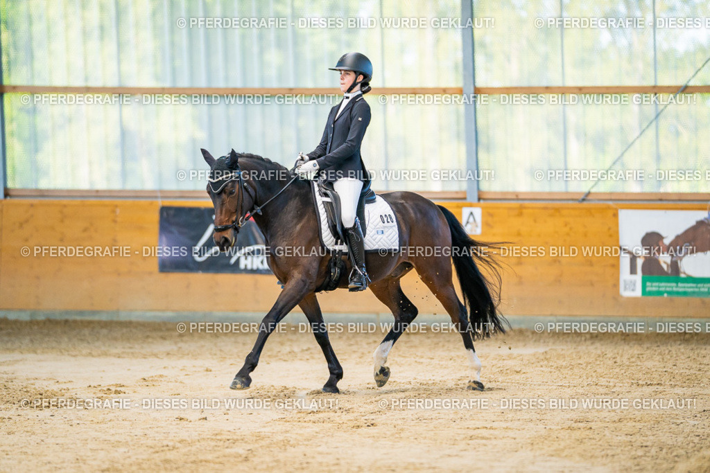 DSC06104 | Pferdegrafie