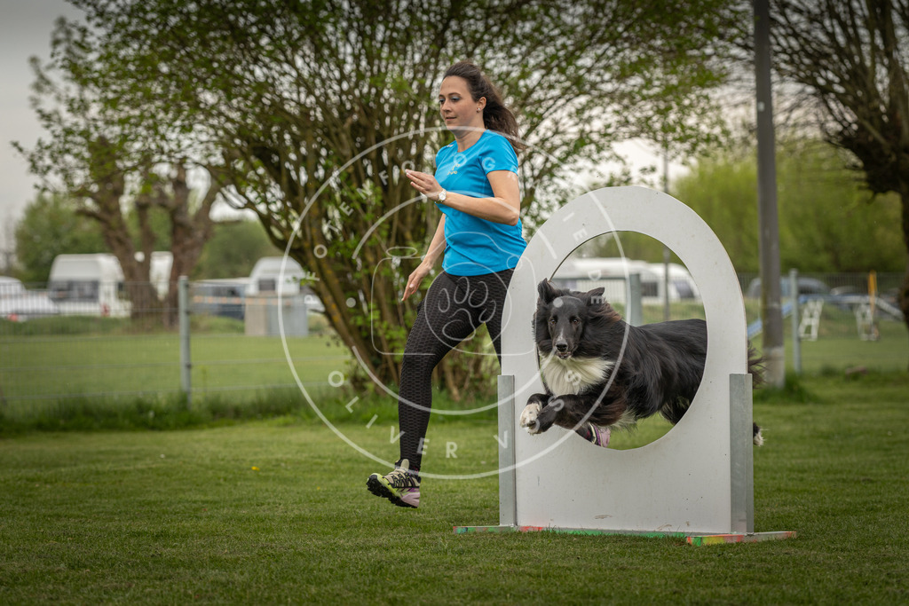 Pfotenfotografie_DV3A2910 | Hundefotografie, Tierfotograf, Pfotenfotografie, Fotoshooting Hund, Hunde Portrait, Hundesport, Hundeportraits, Heideshooting, Hunde, Sportfotograf, Hundefotograf, Turnierhundsport, THS,  - Realisiert mit Pictrs.com