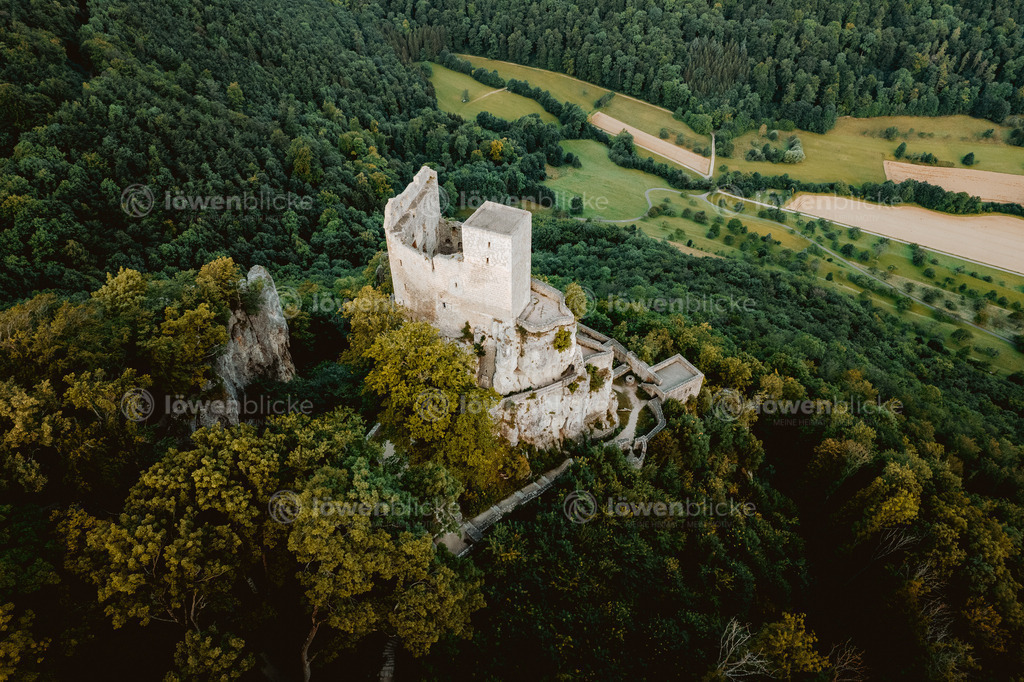 Ruine Reussenstein im Sommer | löwenblicke | shop