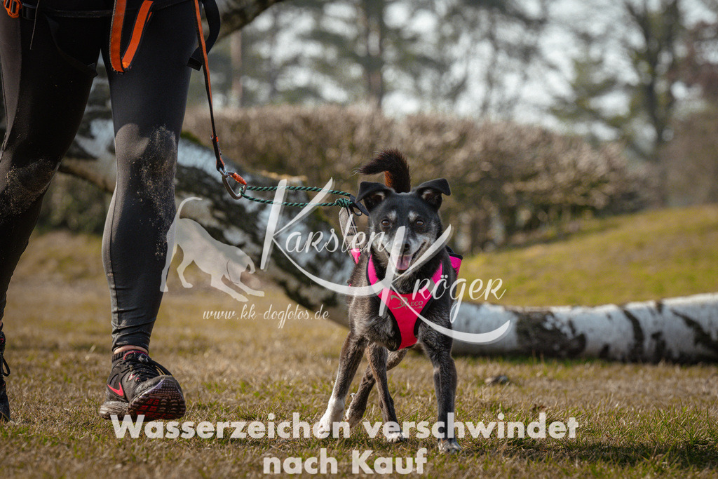 0939_ZZ99691 | kk-dogfotos