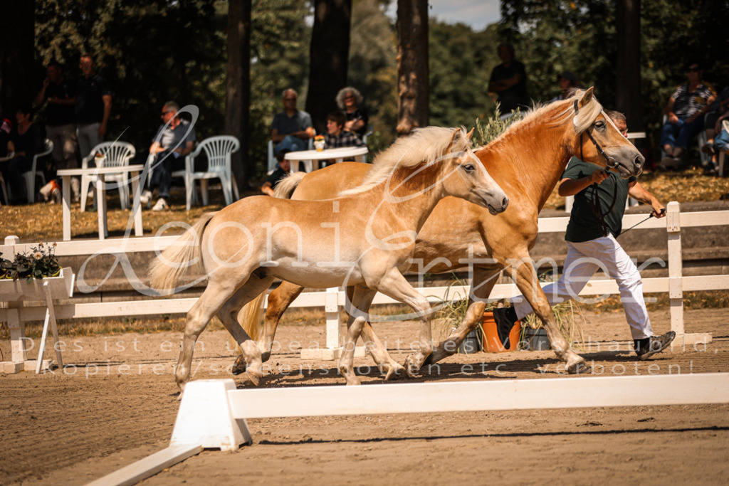 06.DoH00005 | Leoni Ertmer Photography - Realisiert mit Pictrs.com