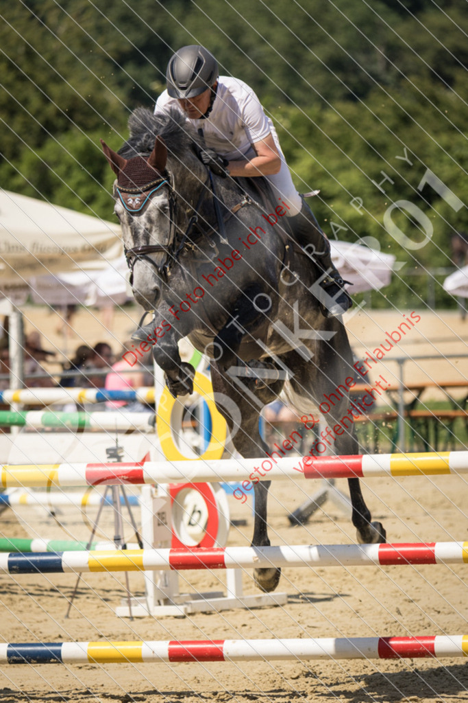 IMG_9500 | Sport-, Event- und Tierfotos in Profiqualität. Einfach auswählen, bestellen und herunterladen. Dein Moment – perfekt festgehalten.