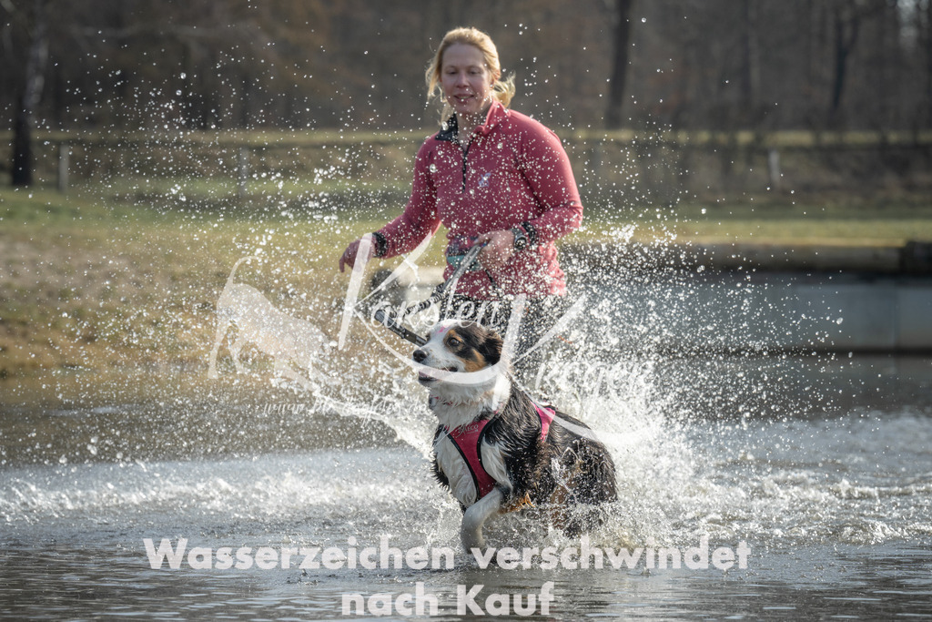 1036_ZZ98475 | kk-dogfotos