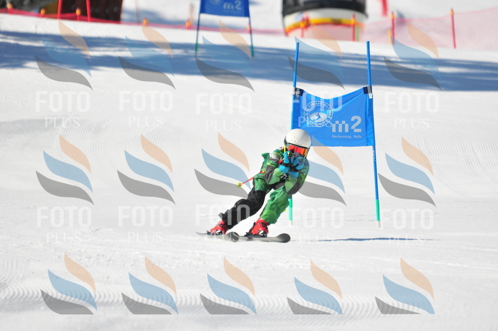 C2902 | holidayphoto