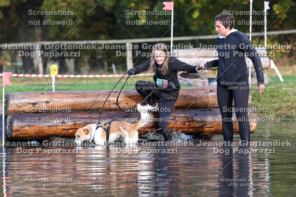Dog Paparazzi - Strongdog 10-25-8296 | Dog Paparazzi Jeanette Grottendiek Fotografie & Videografie - Realisiert mit Pictrs.com