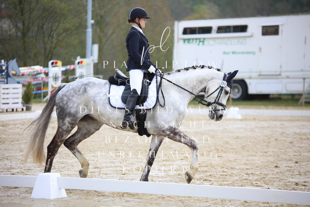 IMGT2952 | pl-fotografie