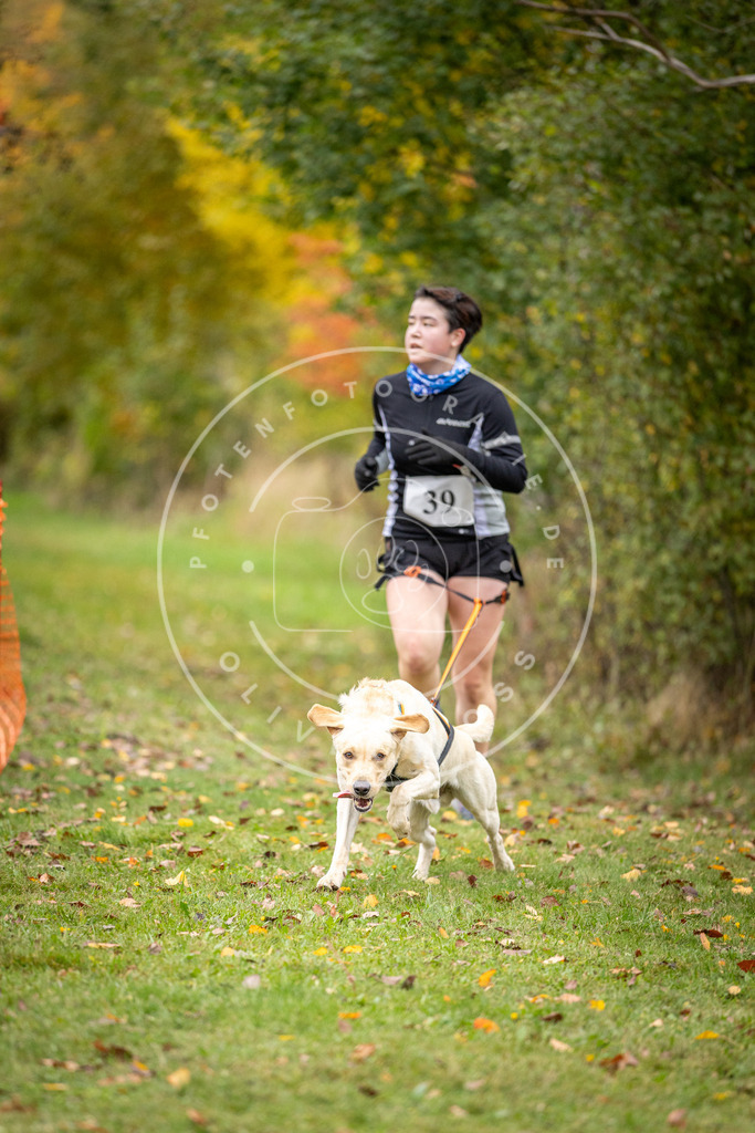 Pfotenfotografie_DV3A2270 | Hundefotografie, Tierfotograf, Pfotenfotografie, Fotoshooting Hund, Hunde Portrait, Hundesport, Hundeportraits, Heideshooting, Hunde, Sportfotograf, Hundefotograf, Turnierhundsport, THS,  - Realisiert mit Pictrs.com