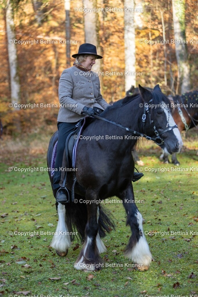 LL24-246 | foto-bettina-krinner - Realisiert mit Pictrs.com