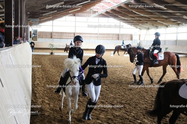 JugendTrophy1231 | Fotografie, Tiere, Hunde, Katzen, Pferde, Sportfotografie, Fotosession, Tierfotografie, Turnierfotografie, Fotografin, Fotograf - Realisiert mit Pictrs.com