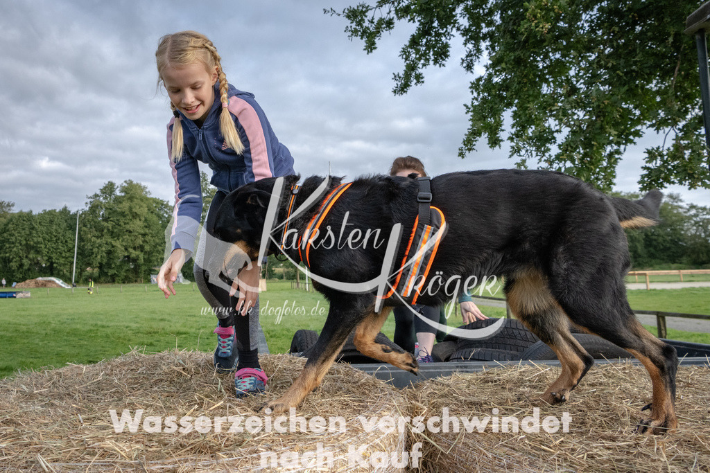 0921_ZZ90091 | kk-dogfotos