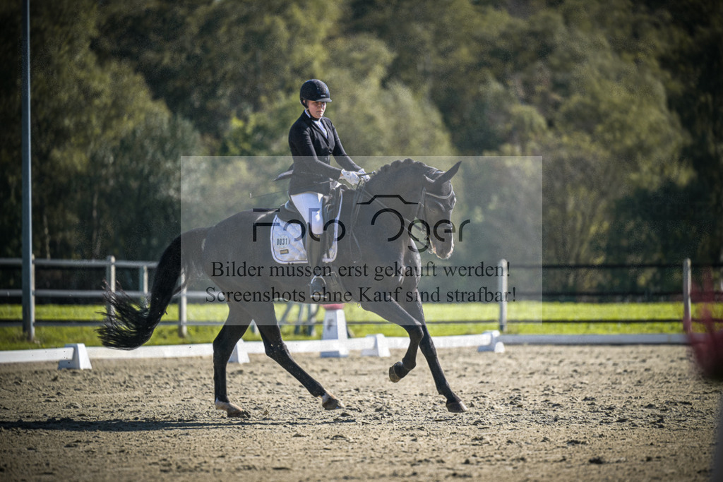 DOS_2206 | Entdecke hochwertige Reitturnierfotos von Foto Oger. Professionell, emotional und authentisch – jetzt Lieblingsmomente im Shop bestellen.Deutschlandweite Turnierfotografie. - Realisiert mit Pictrs.com